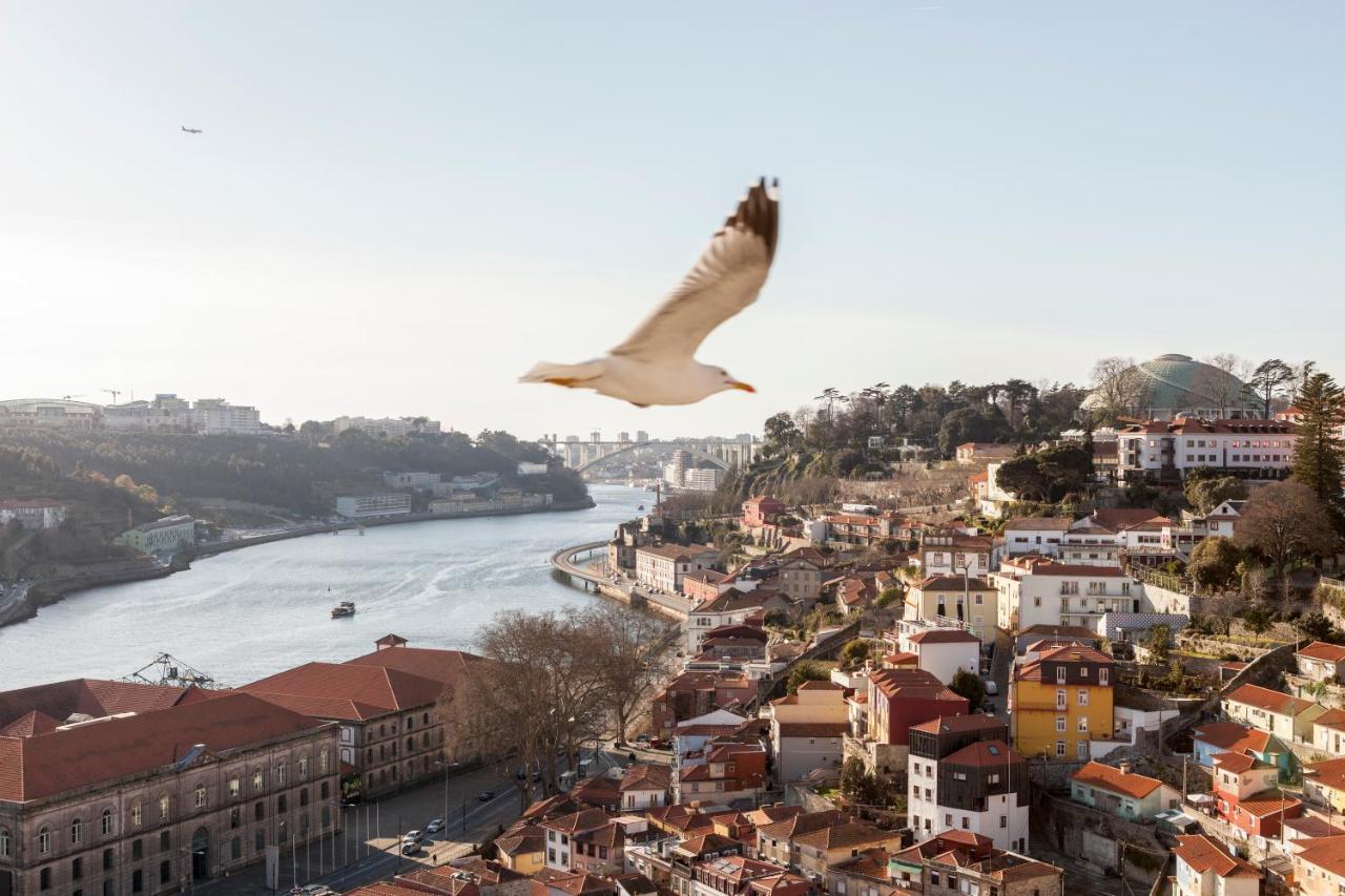 Citybreak-Apartments Douro View Porto Dış mekan fotoğraf